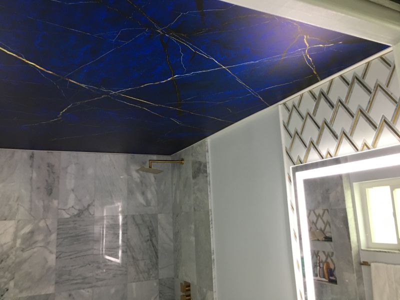 Printed Custom Art Stretch Ceiling